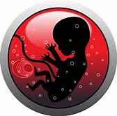 Alle Embryos in der Gebärmutter haben zunächst weibliche Veranlagungen